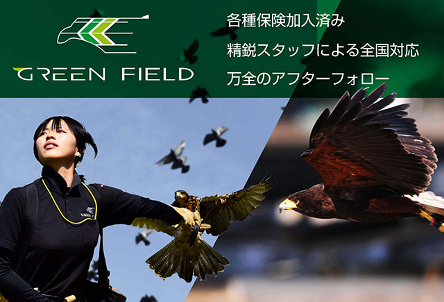 株式会社グリーンフィールド