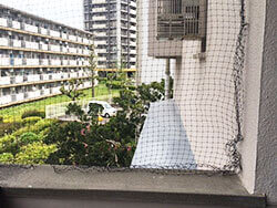 防鳥ネット使用風景